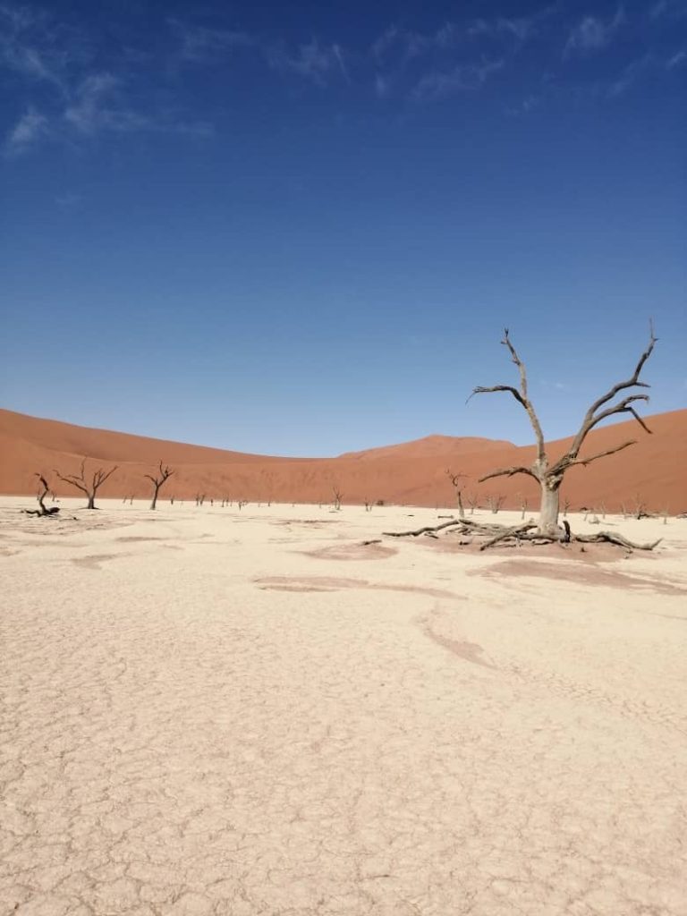 Седальны покаянны